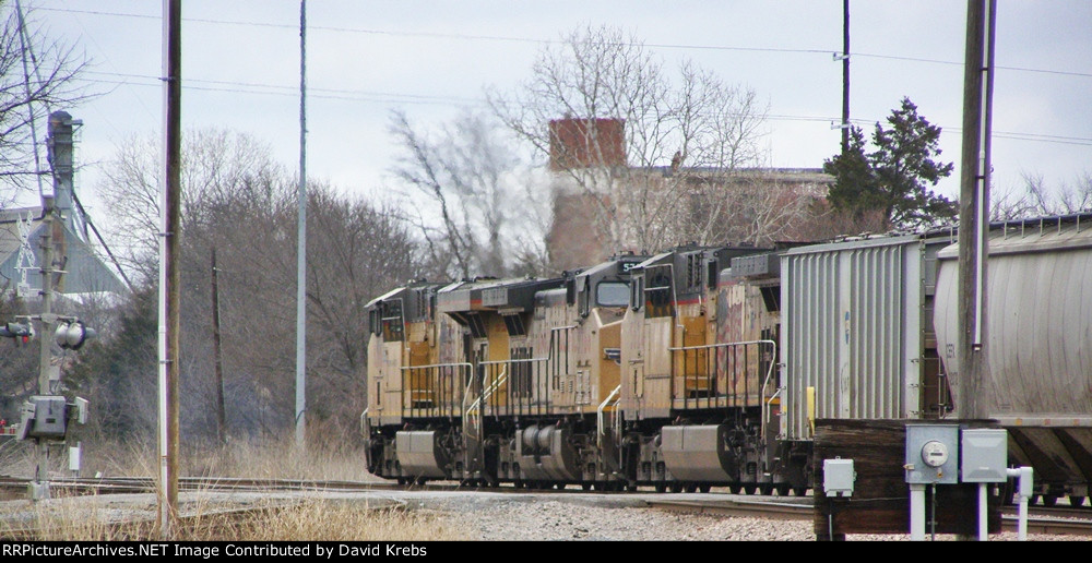 Crossing Main St. NB